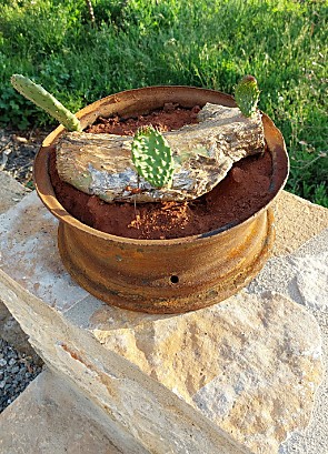 Kleines Gartendetail