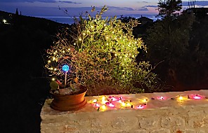Garten bei Nacht