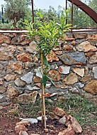 Naturstein im Garten