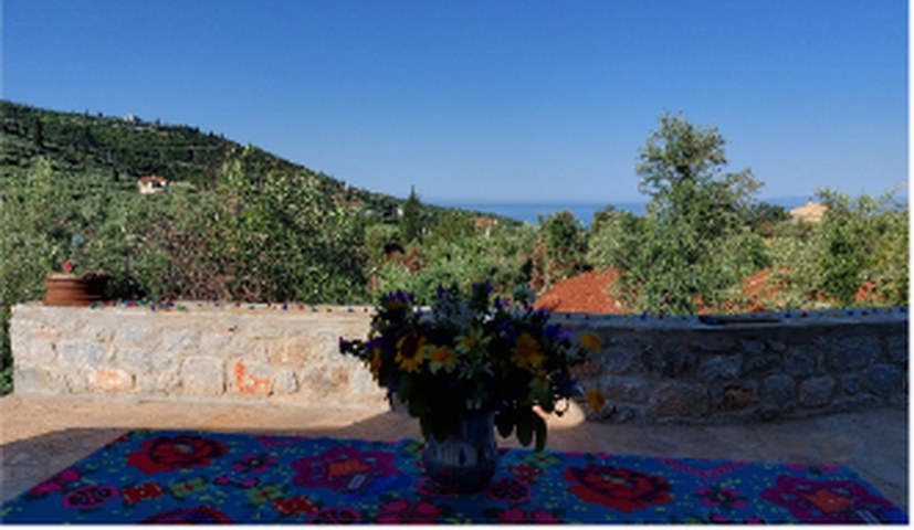 Blick von der unteren Terrasse